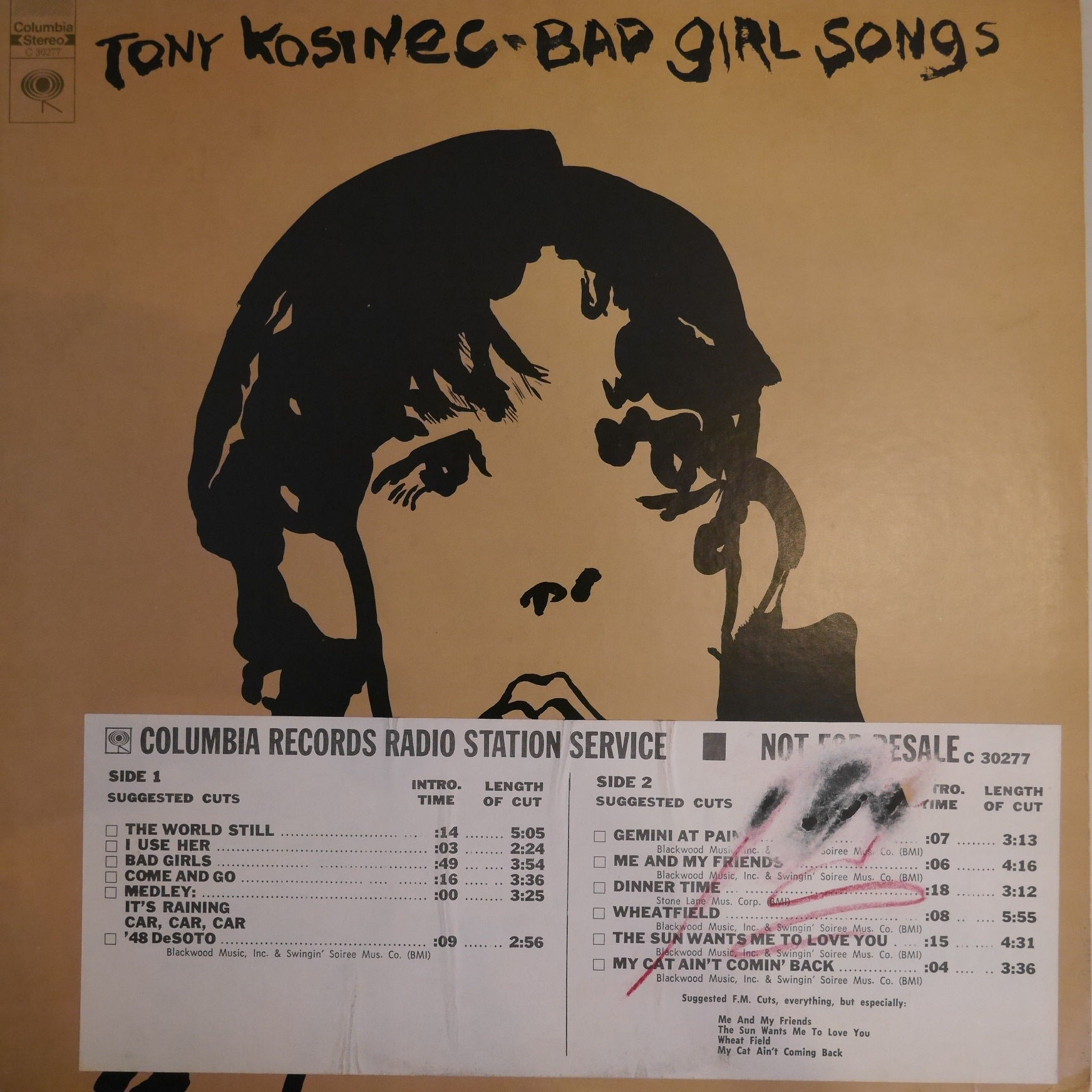 Tony Kosinec / Bad Girl Songs