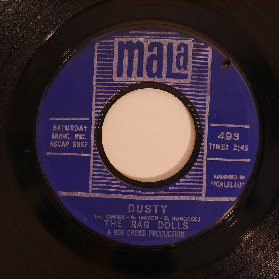 THE RAG DOLLS / DUSTY/HEY HOAGY anchorrecord