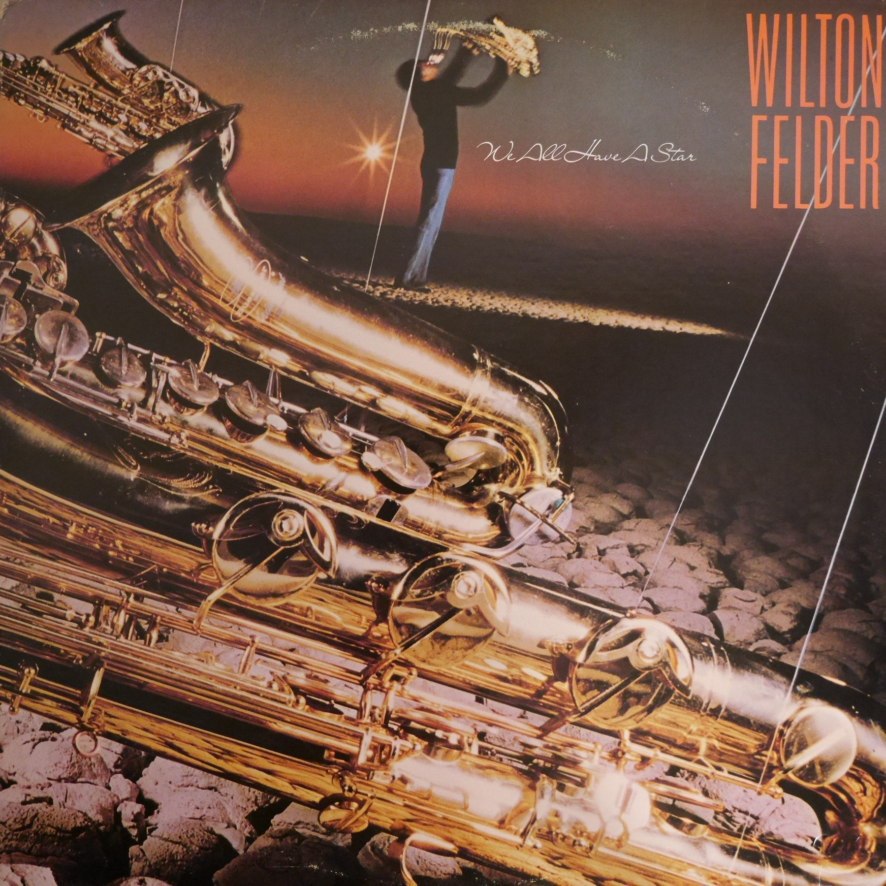 Wilton Felder / We All Have A Star