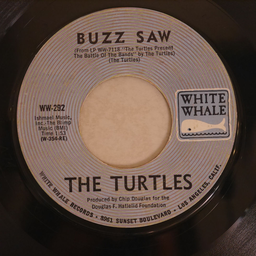 THE TURTLES / You Showed Me