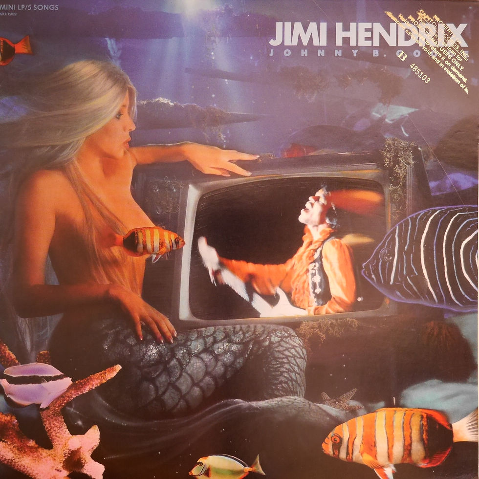 JIMI HENDRIX / Johnny B. Goode An Original Video Soundtrack