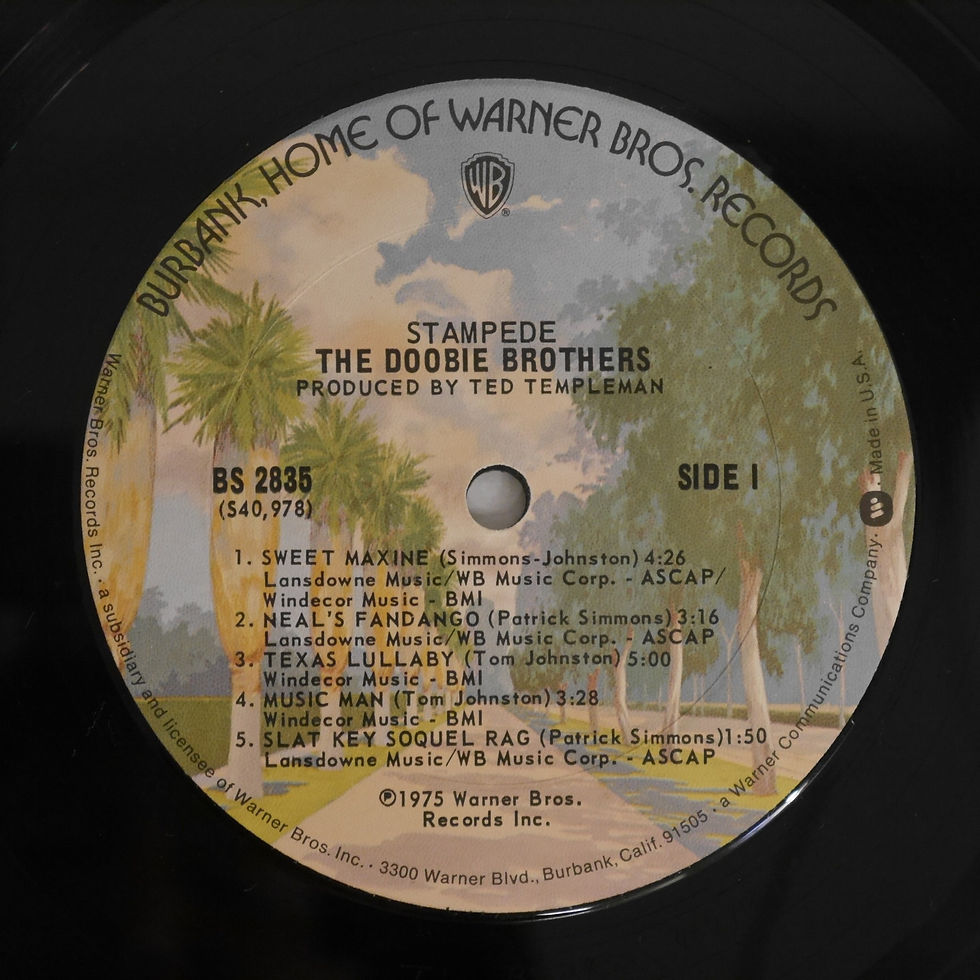 サムネイル： DOOBIE BROTHERS / STAMPEDE