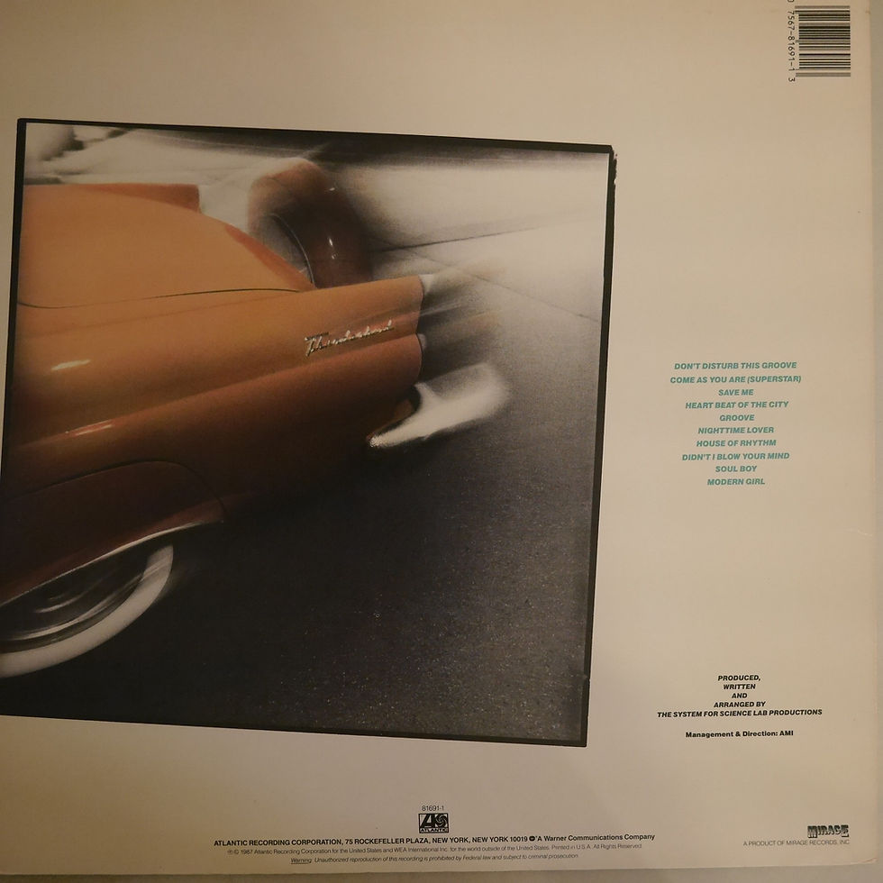 サムネイル： THE SYSTEM / DON'T DISTURB THIS GROOVE