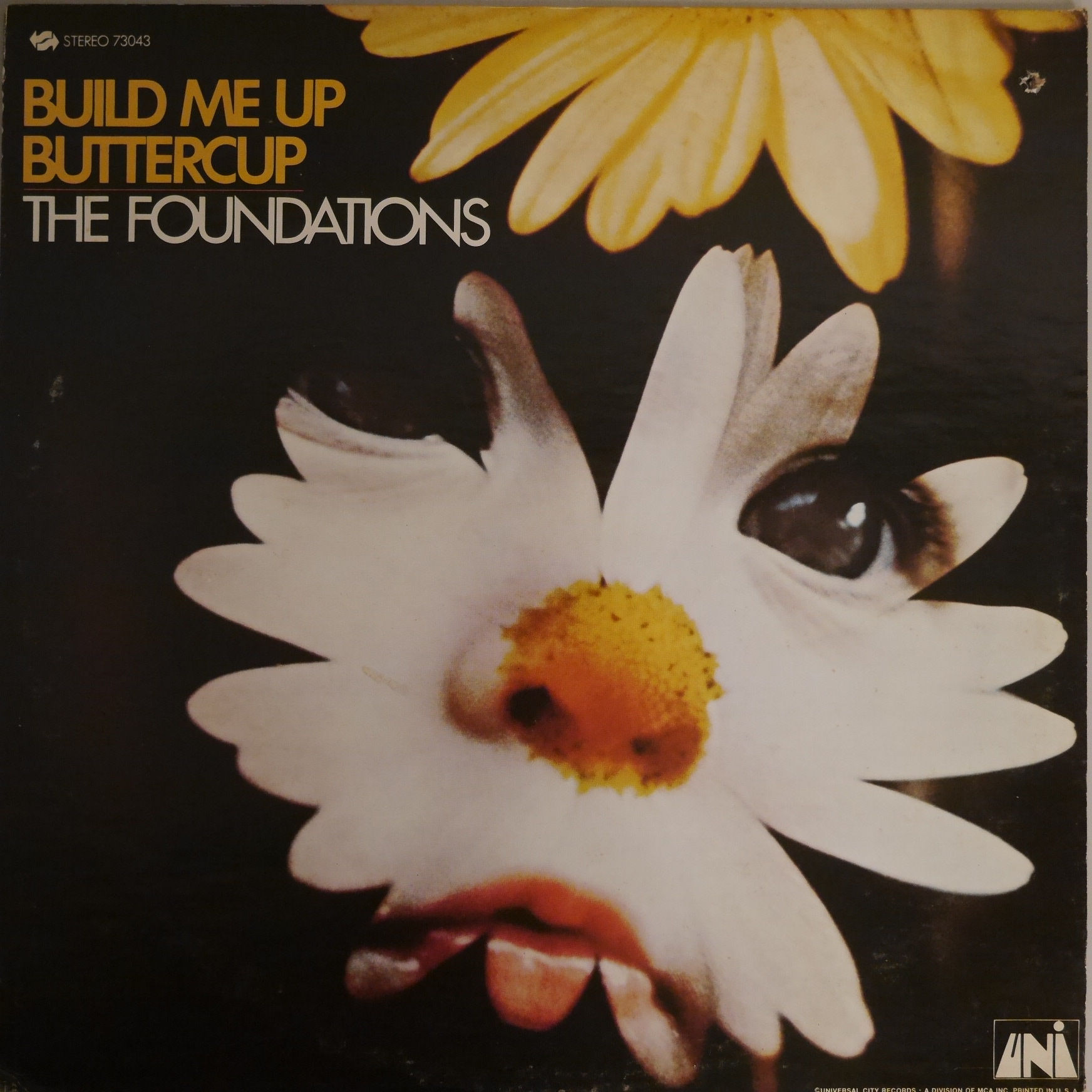 The Foundations / Build Me Up Buttercup