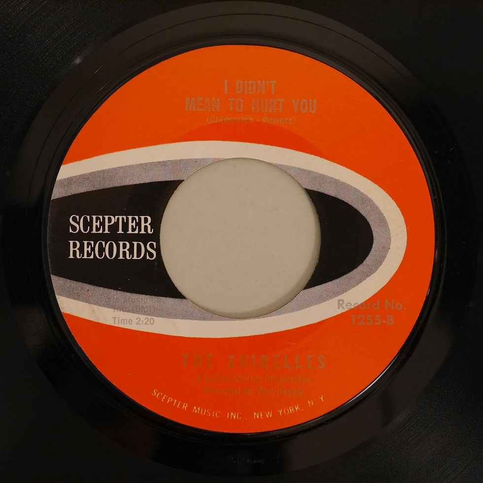 サムネイル： THE SHIRELLES / DON‘T SAY GOODNIGHT AND MEAN GOODBYE