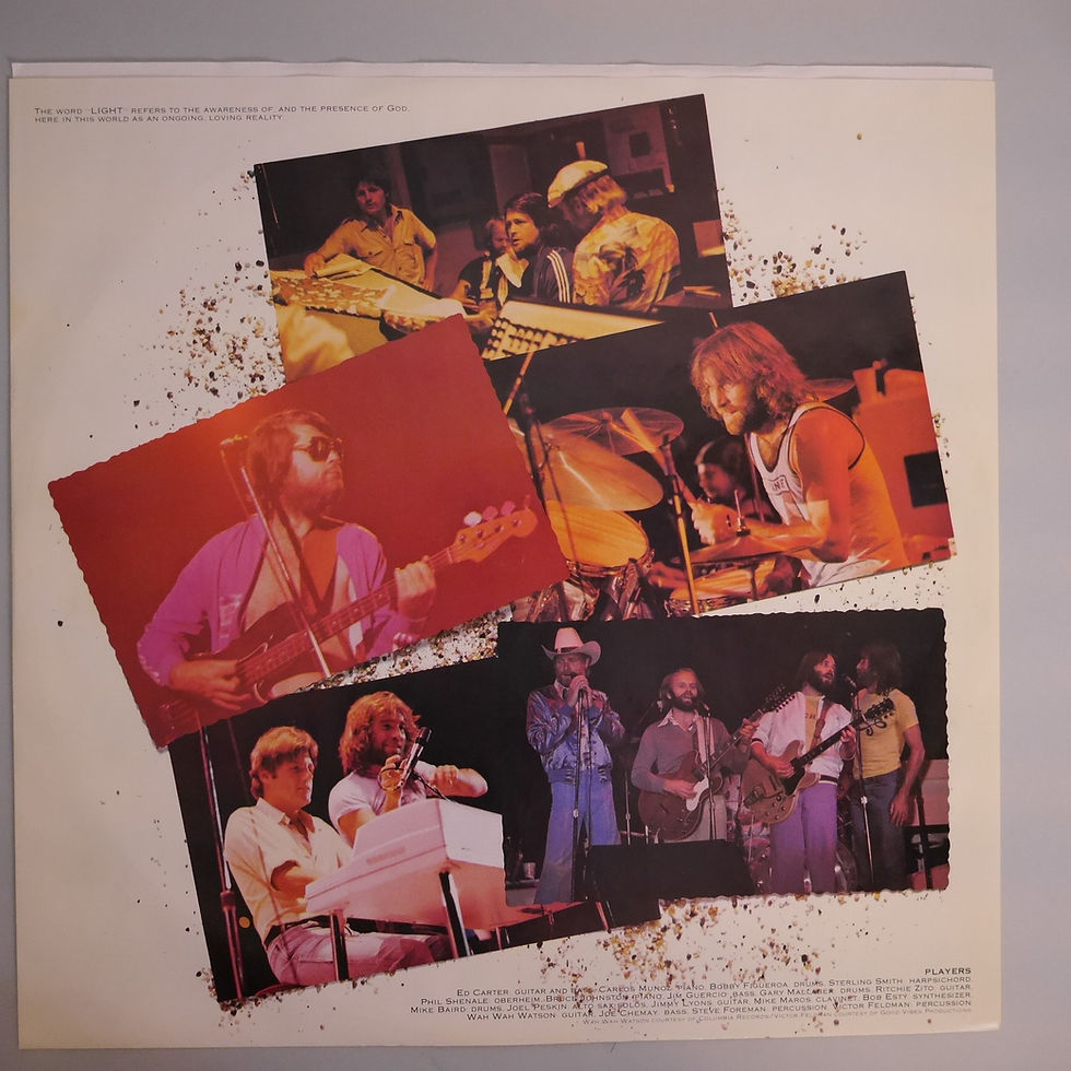 サムネイル： THE BEACH BOYS /L.A. (Light Album)