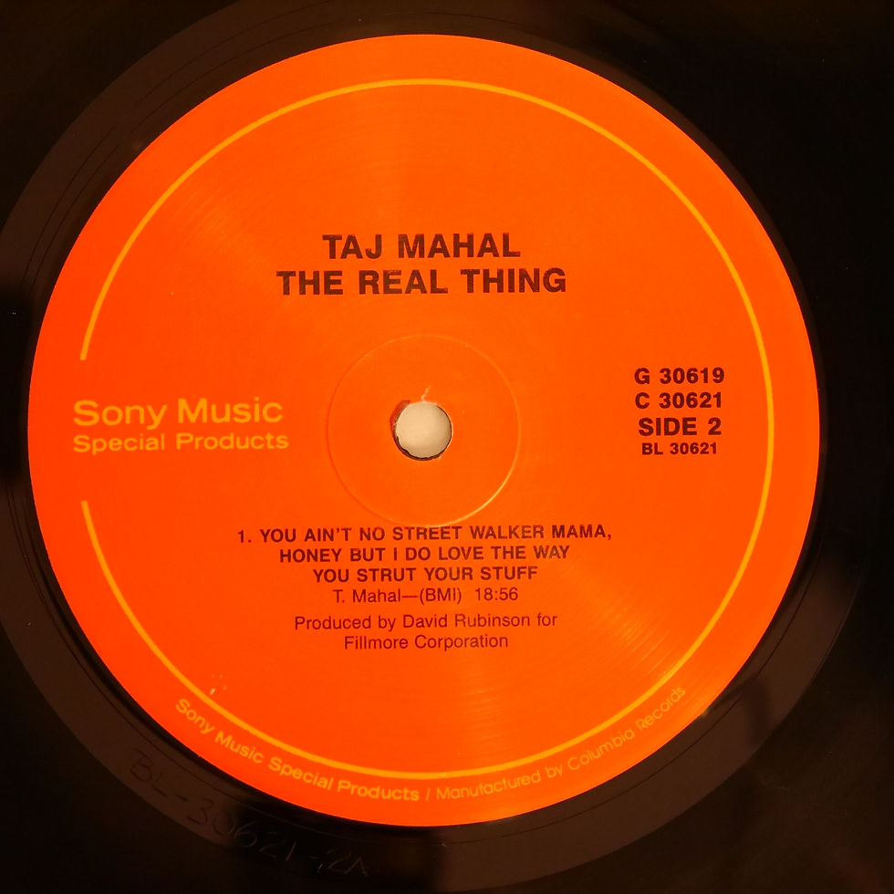 サムネイル： Taj Mahal /The Real Thing