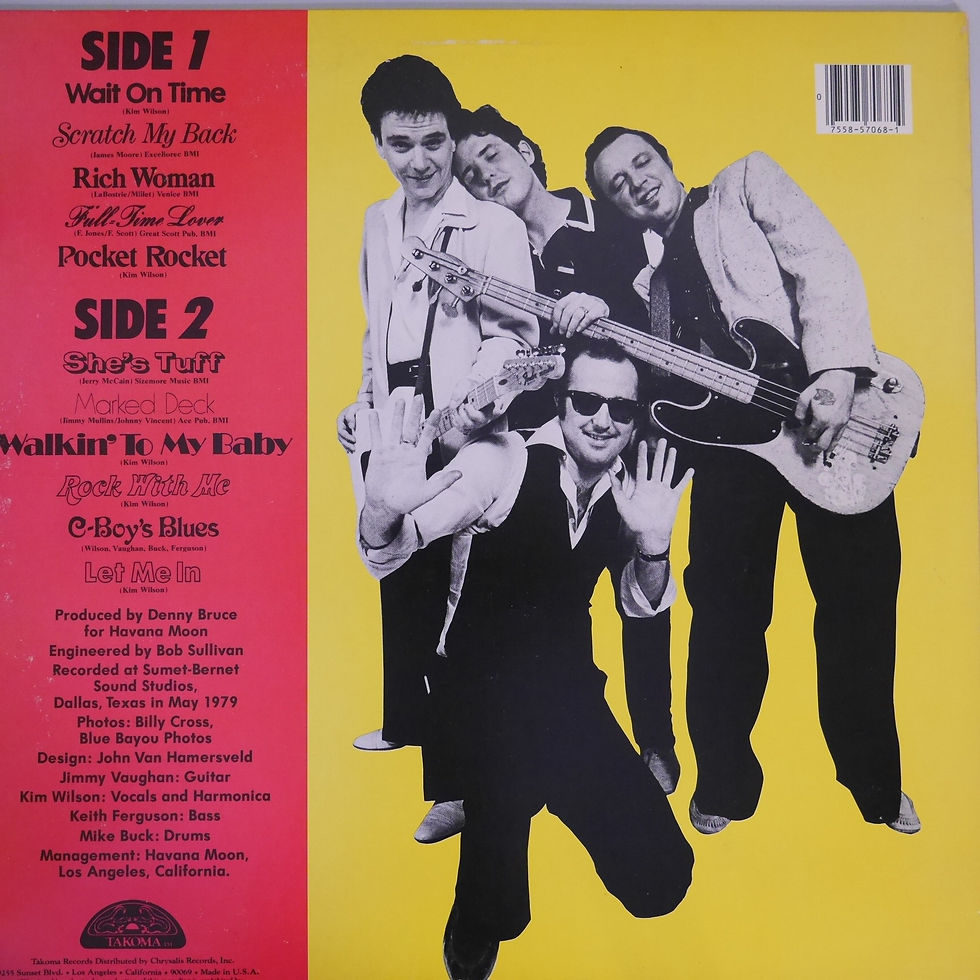 サムネイル： THE FABULOUS THUNDERBIRDS /GIRLS GO WILD