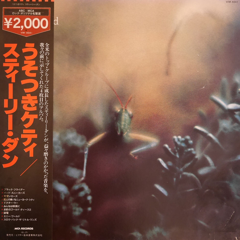 STEELY DAN / うそつきケイティ