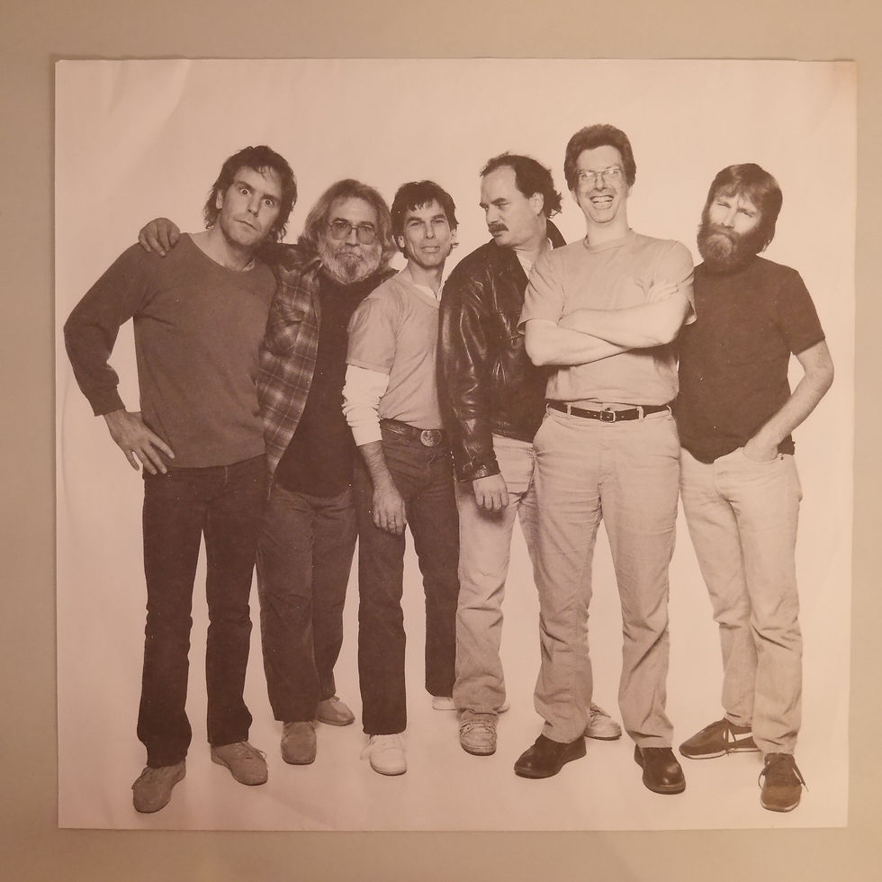 サムネイル： GRATEFUL DEAD  / IN THE DARK