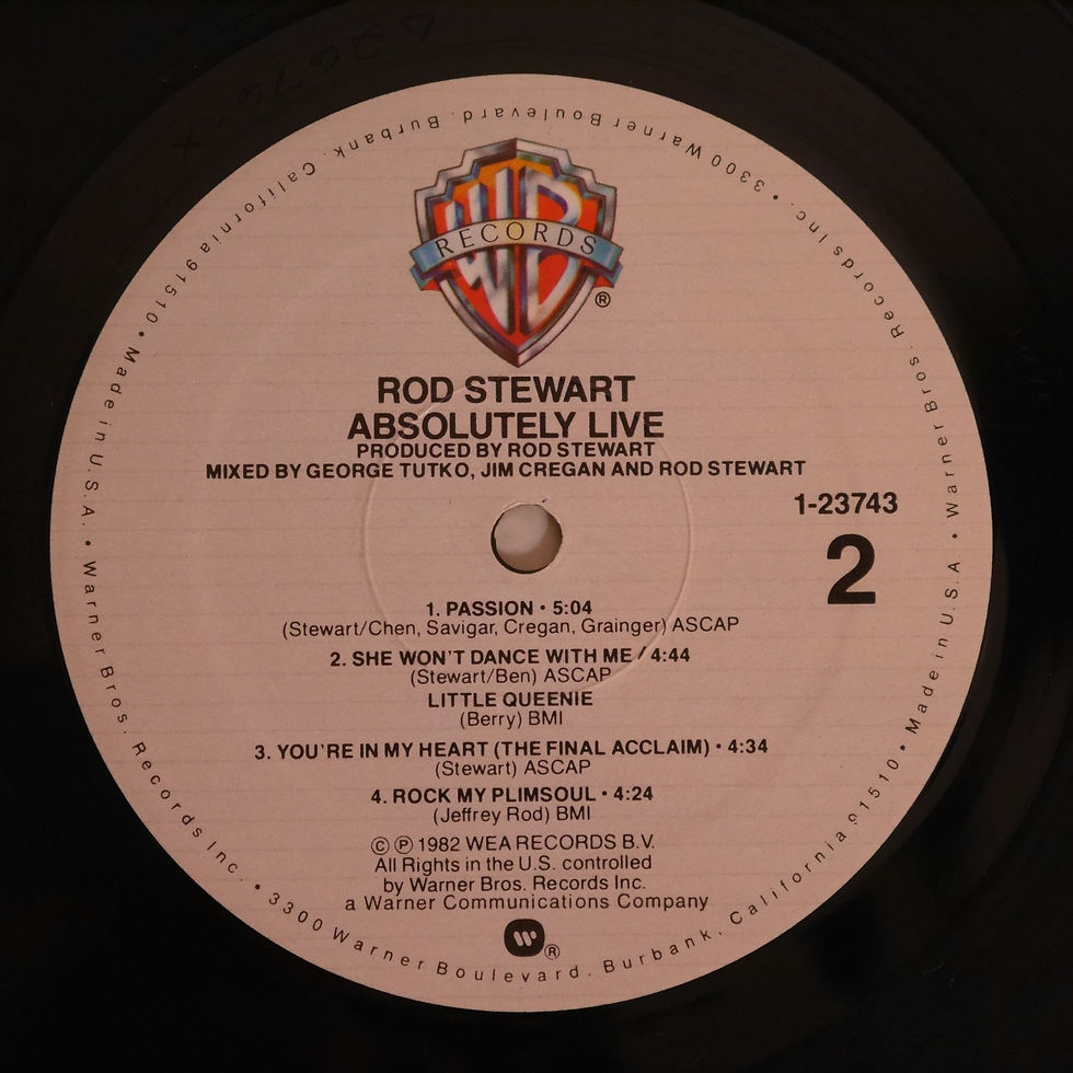 サムネイル： ROD STEWART / ABSOLUTELY LIVE