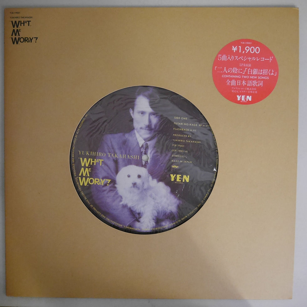 高橋幸宏 / WHAT, ME WORRY? (12")