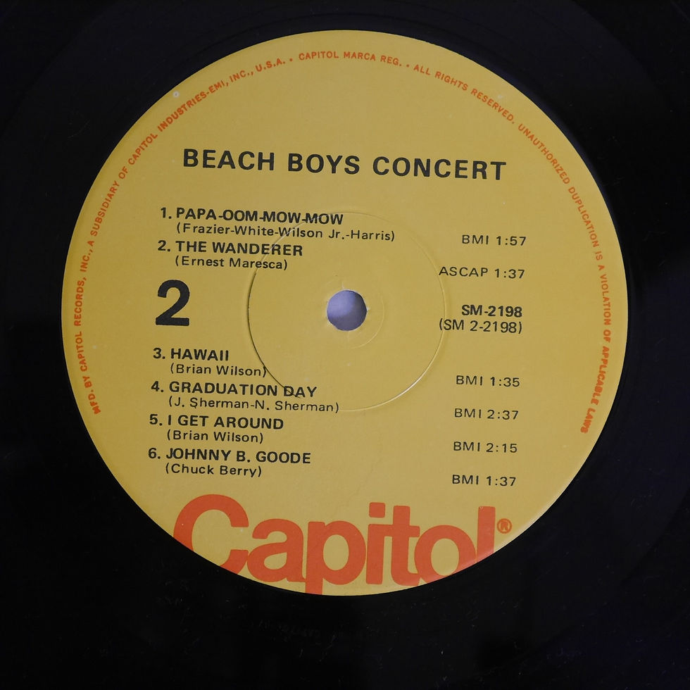 サムネイル： THE BEACH BOYS / BEACH BOYS CONCERT