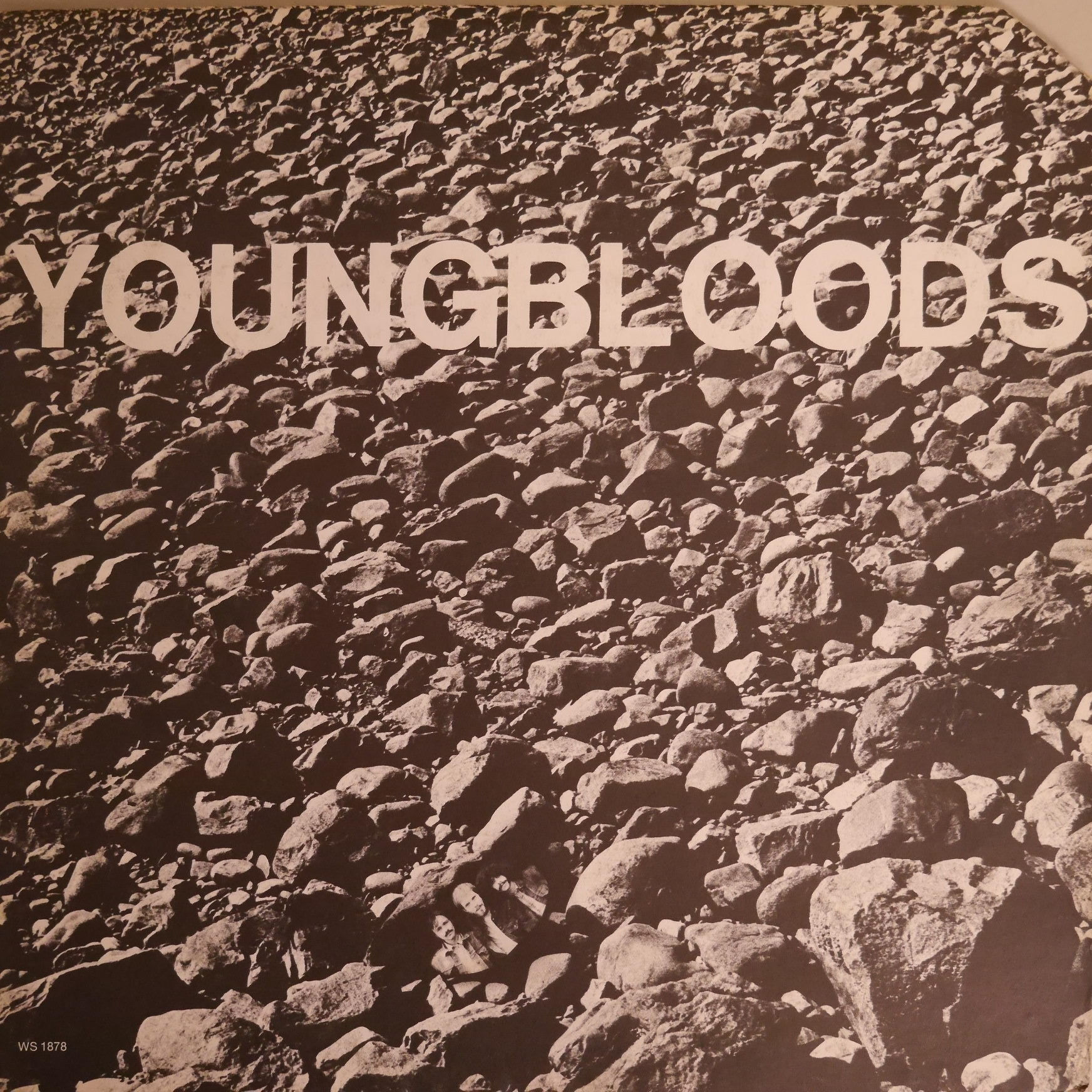 YOUNGBLOODS / Rock Festival