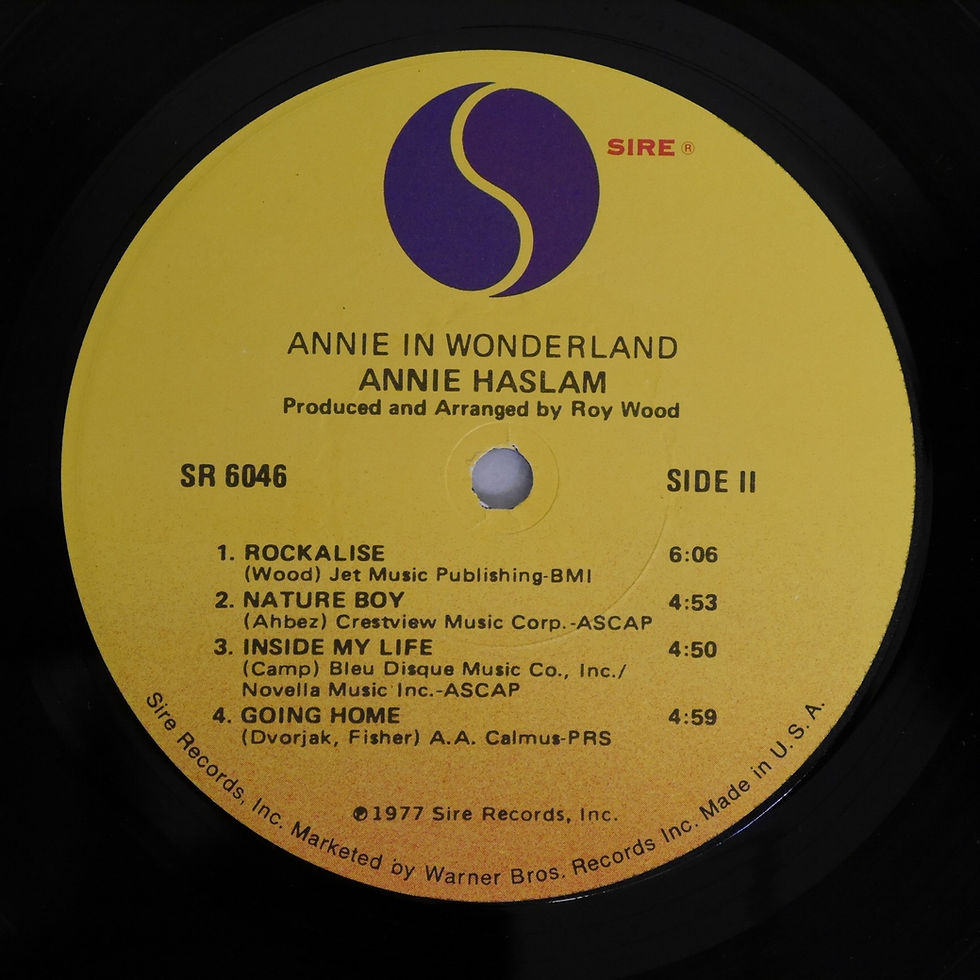 サムネイル： ANNIE HASLAM / Annie In Wonderland(プロモ）