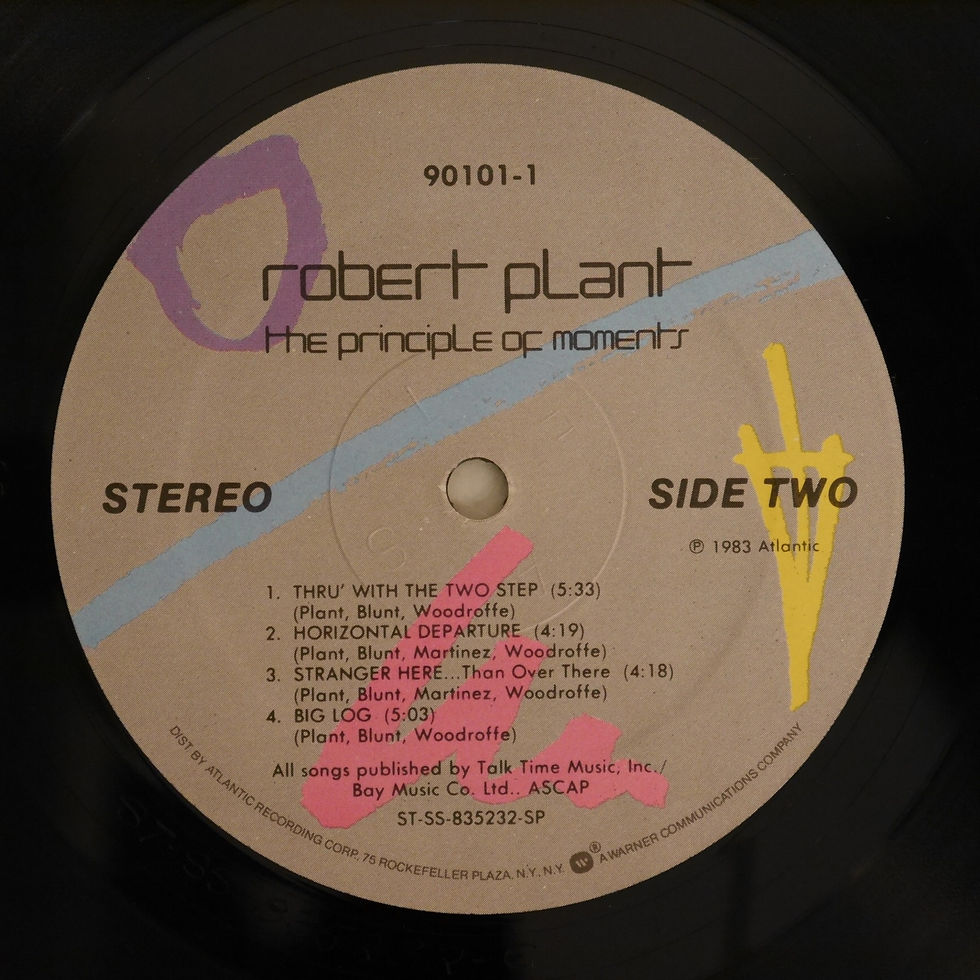 サムネイル： Robert Plant / The Principle Of Moments