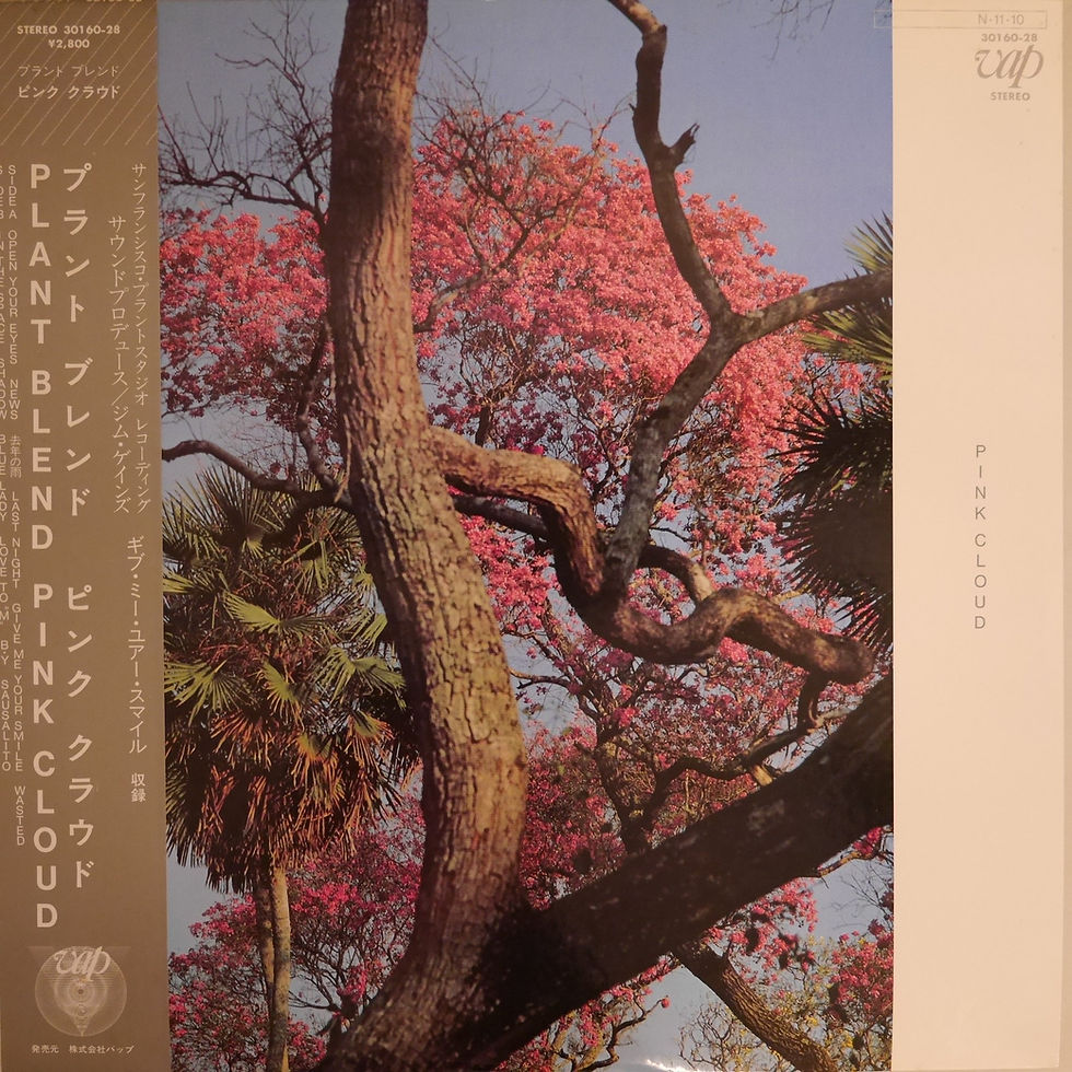 ピンククラウド / PLANT BLEND