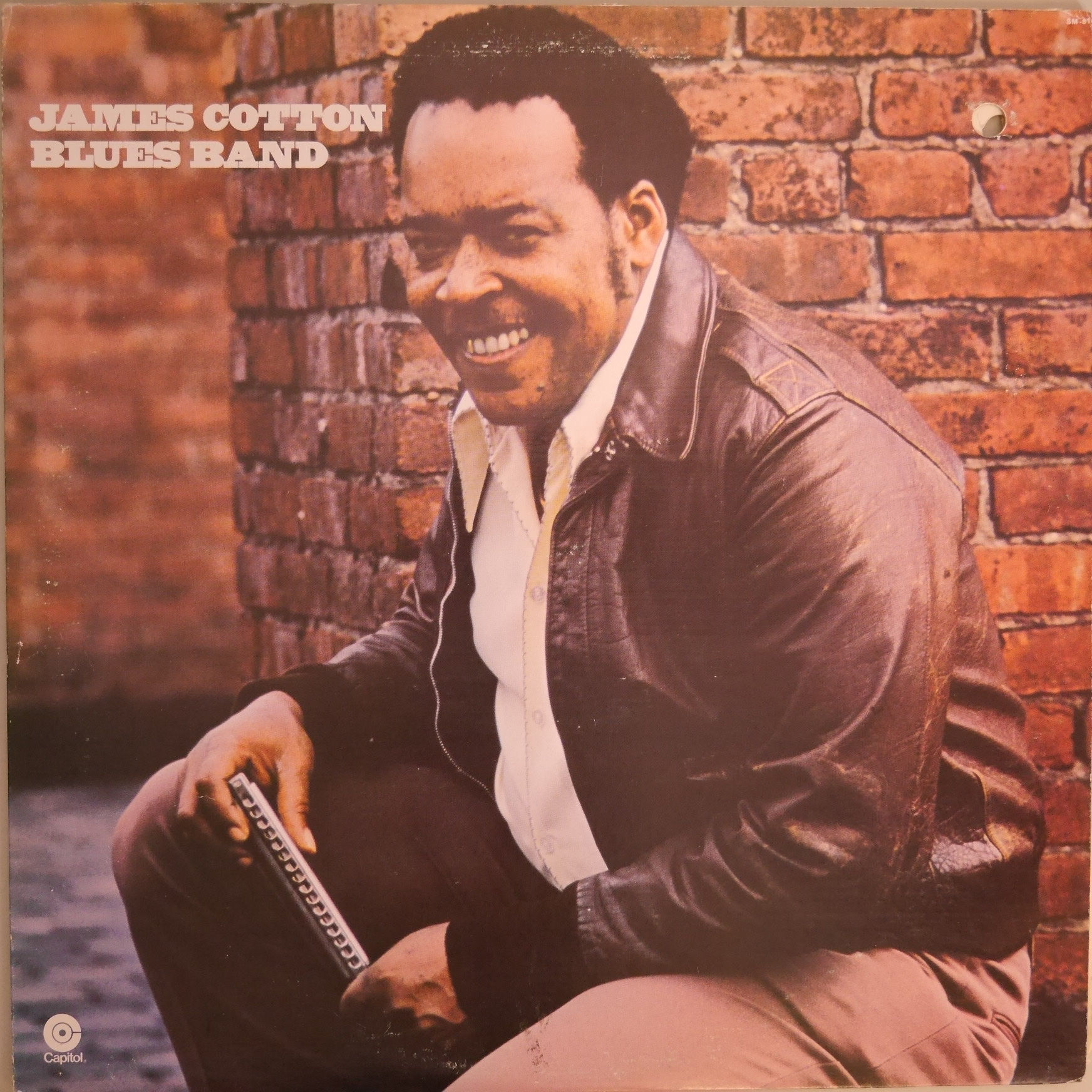 JAMES COTTON BAND / TAKING CARE OF BUSINESS