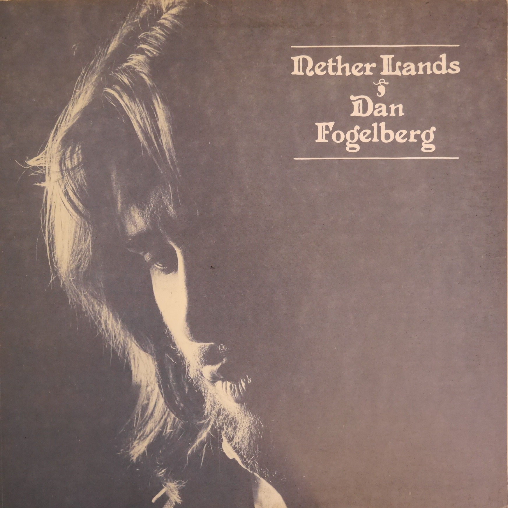 DAN FOGELBERG / NETHER LANDS