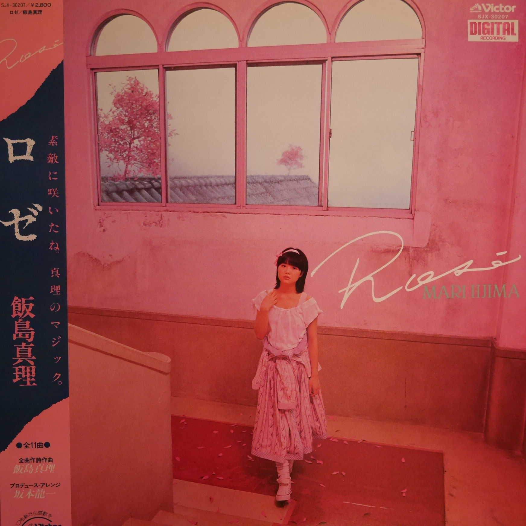 飯島真理 / ロゼ