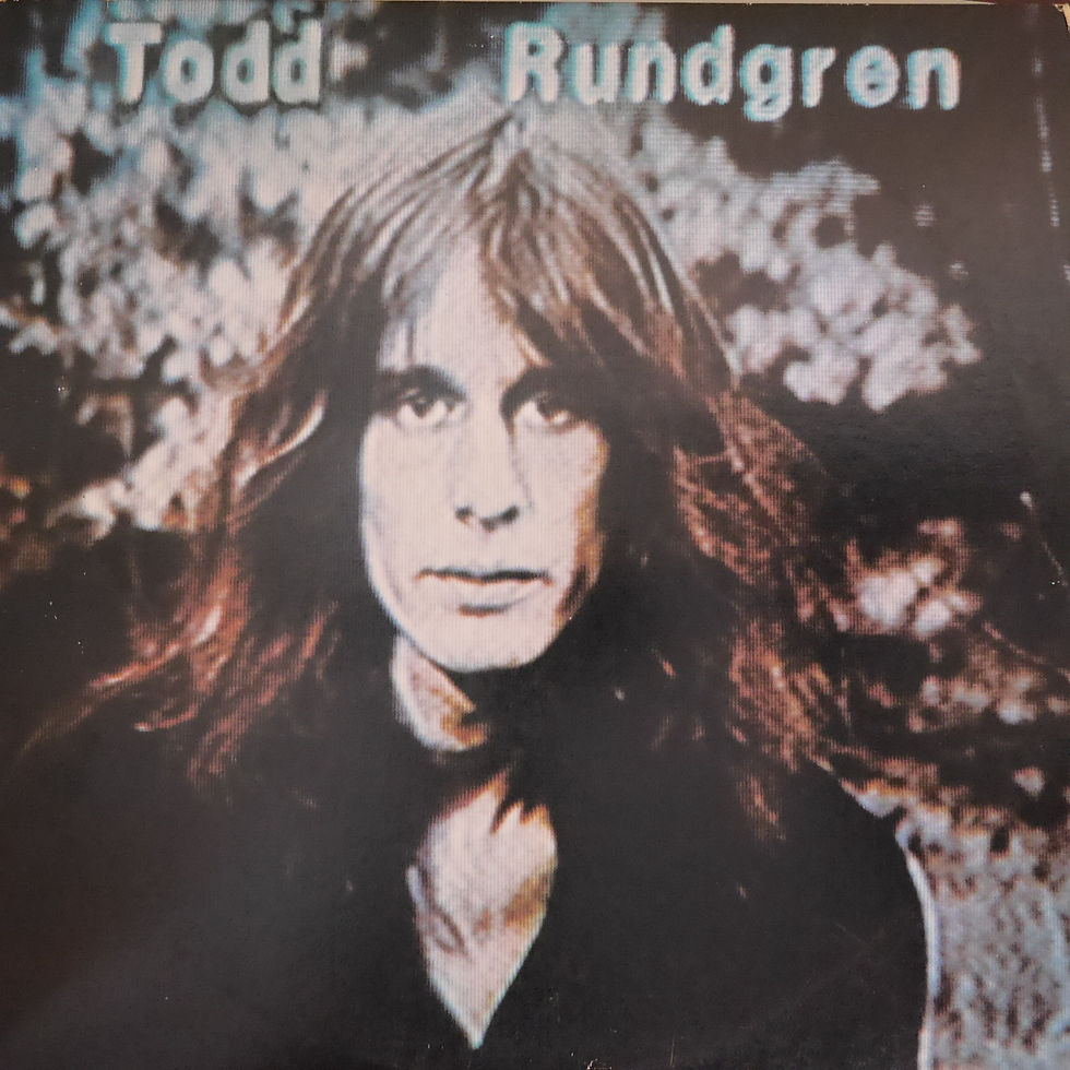 TODD RUNDGREN / HERMIT OF MINK HOLLOW