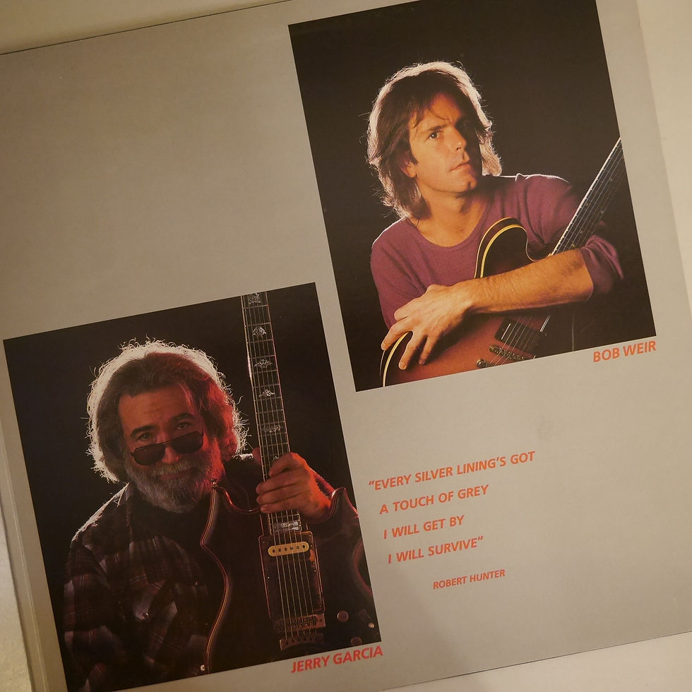 サムネイル： Grateful Dead / In The Dark