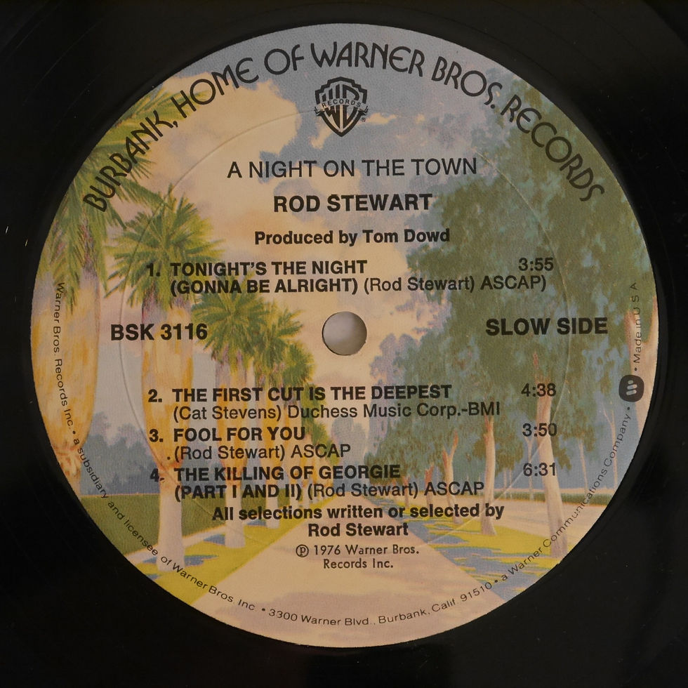 Rod Stewart / A Night On The Town