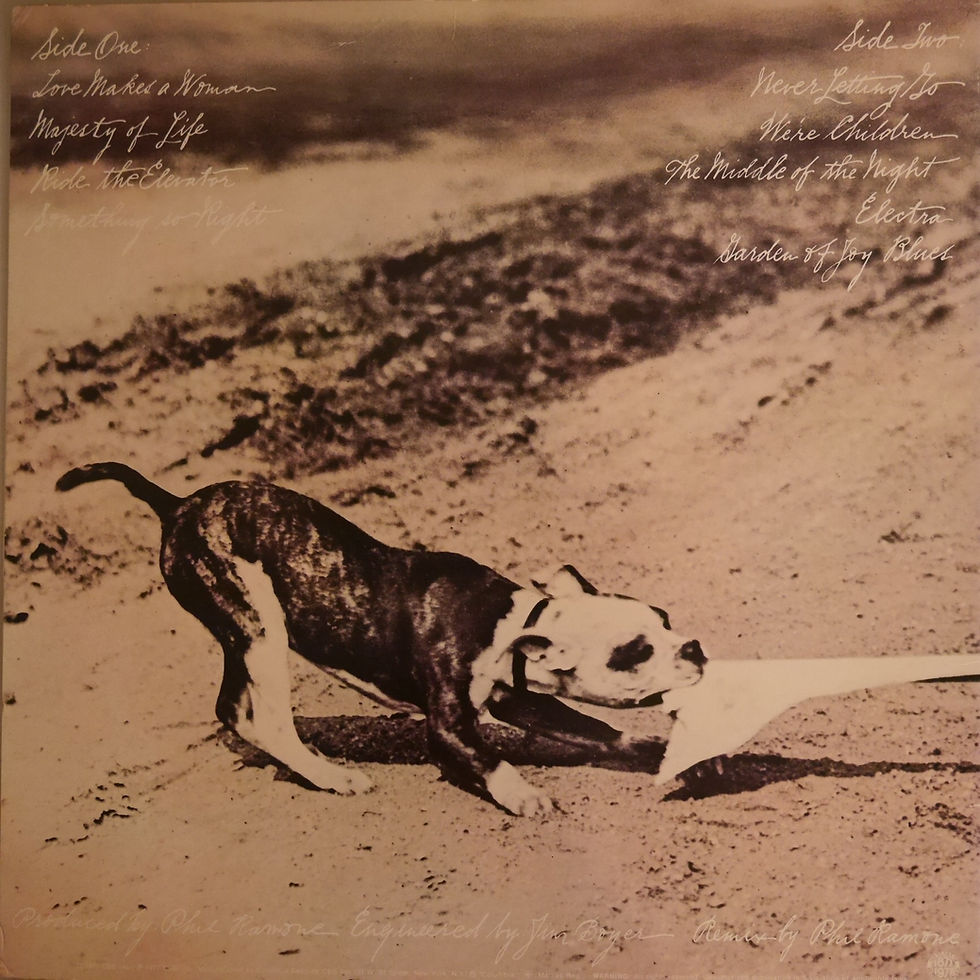 サムネイル： PHOEBE SNOW / Never Letting Go