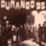 DURANGO95   1000枚限定プレス
