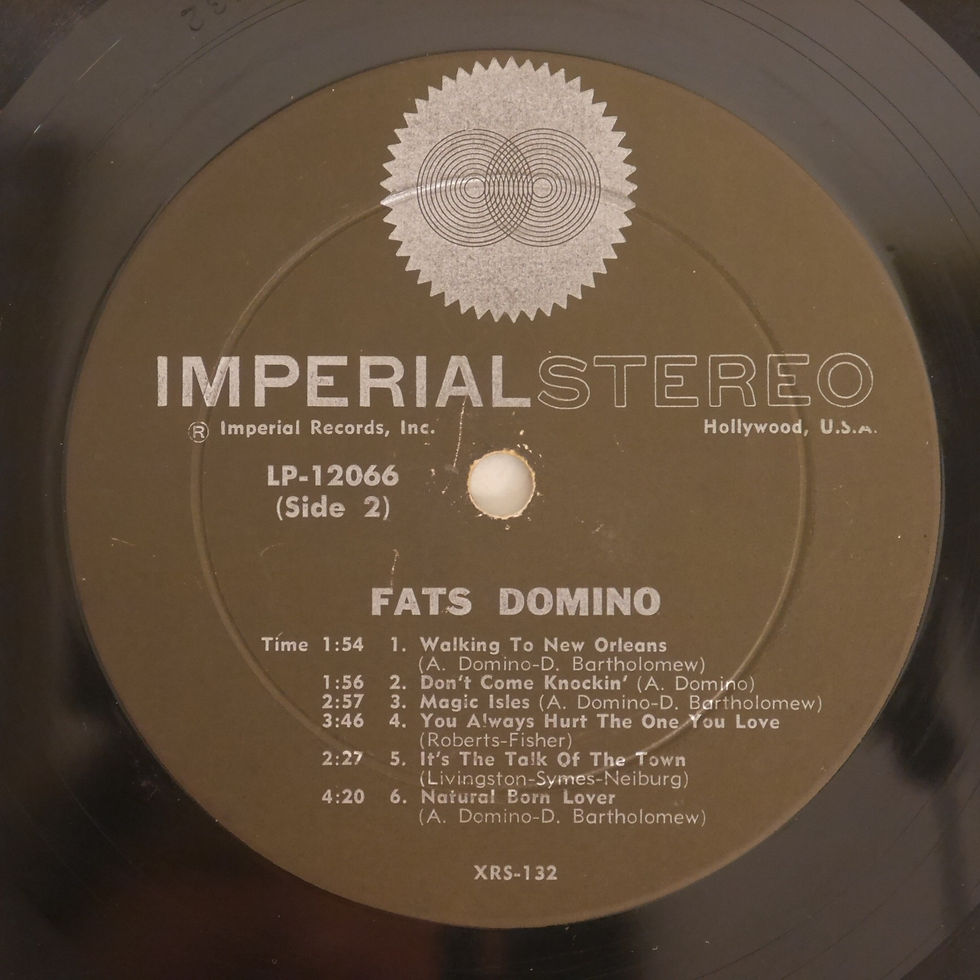 サムネイル： FATS DOMINO / A LOT OF DOMINOS!