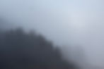 _DSC9837 copia2.jpg