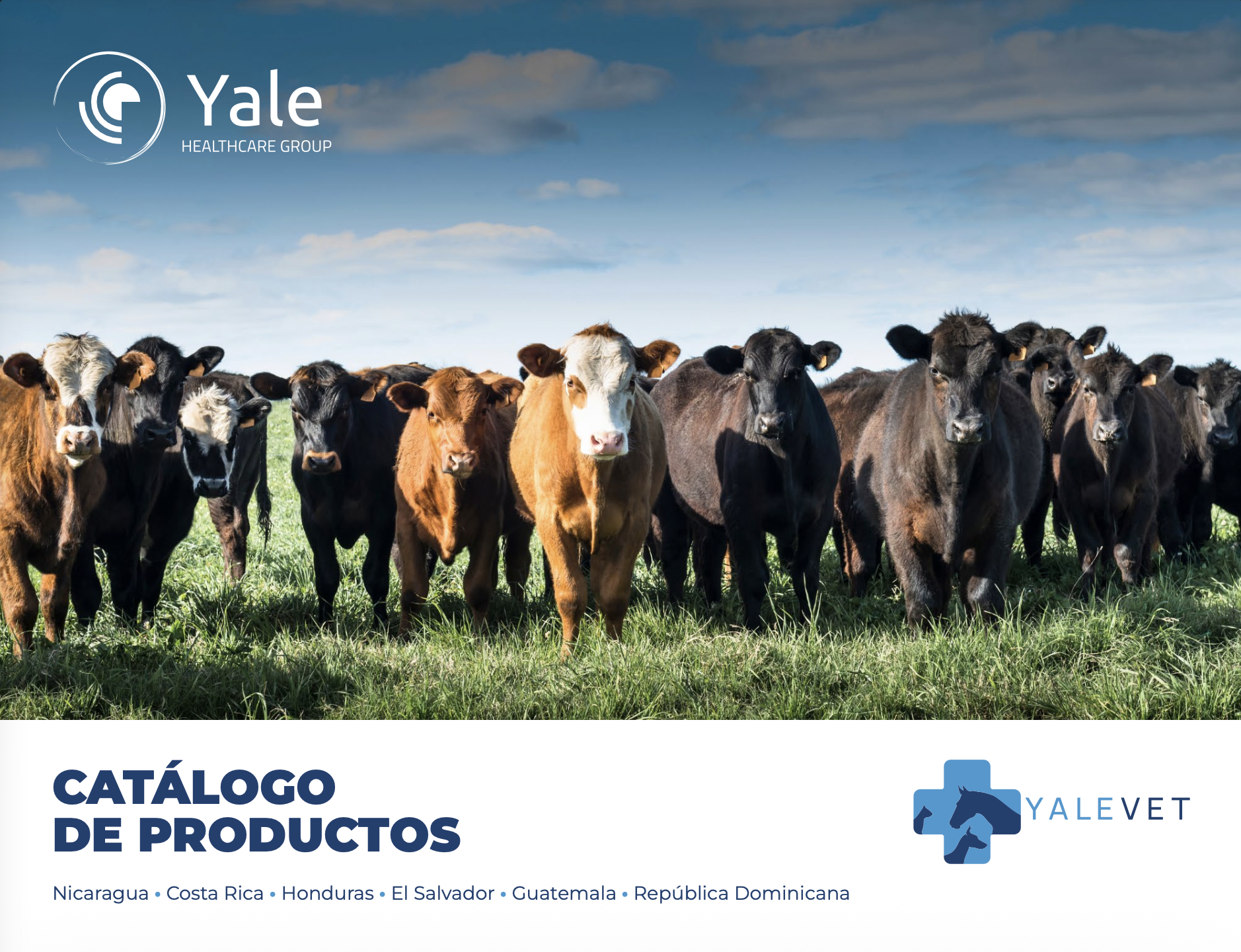 Screenshot 2025-11-12 at 11.36.01 AM.png