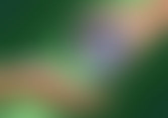 Be true to yourself!