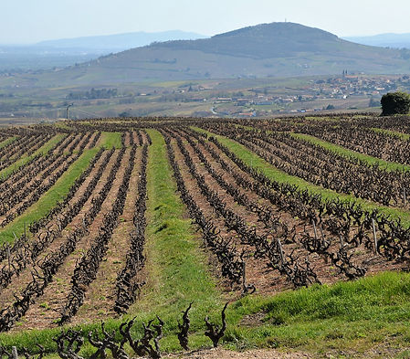 Bellevue Vdef small.jpg