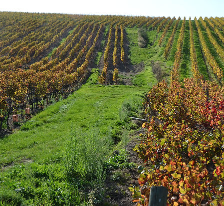 L'automne 3 Vdef small.jpg