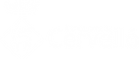 AAFF_Ajuntament_Cervello_NEGRE.png
