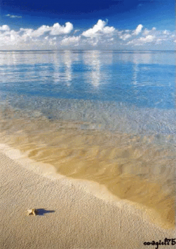 Sandy shore