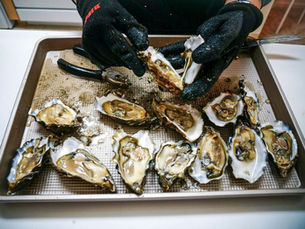 London Oyster Bar: Discover The Angel of Bow