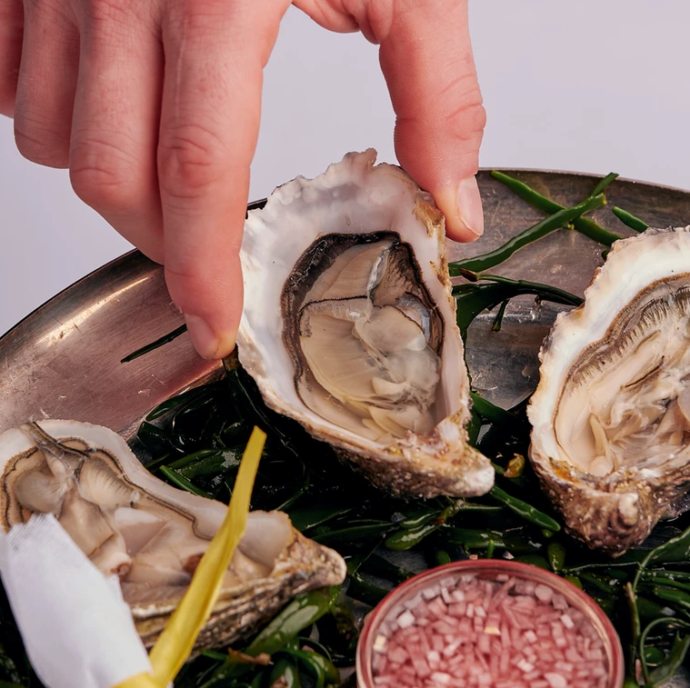 A hand holds an oyster on a tray with seaweed. Nearby are two more open oysters and a dish of pink garnish. The mood is fresh and appetizing.