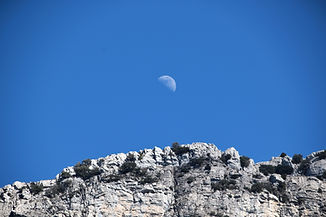 luna.jpg