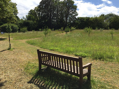 Bench and meadow in the Wendover Memorial Community Orchard.