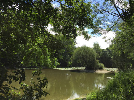 Hampden Pond Restoration Project Funded by HS2's Community & Environment Fund