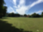 Witchel Meadow