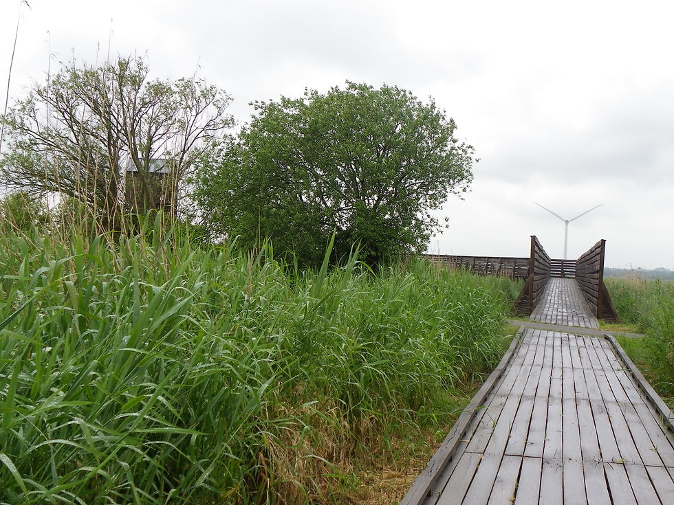 Observatoire de Tadashi Kawamata