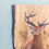 Thumbnail: Stag Painting on English Oak