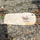 Thumbnail: Hand-painted wren on driftwood