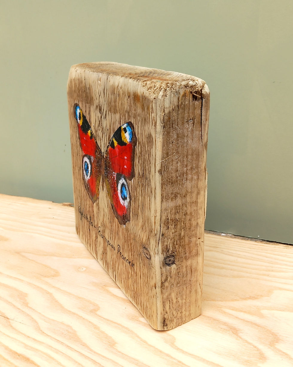 Thumbnail: Peacock butterfly painting on Cornish Driftwood
