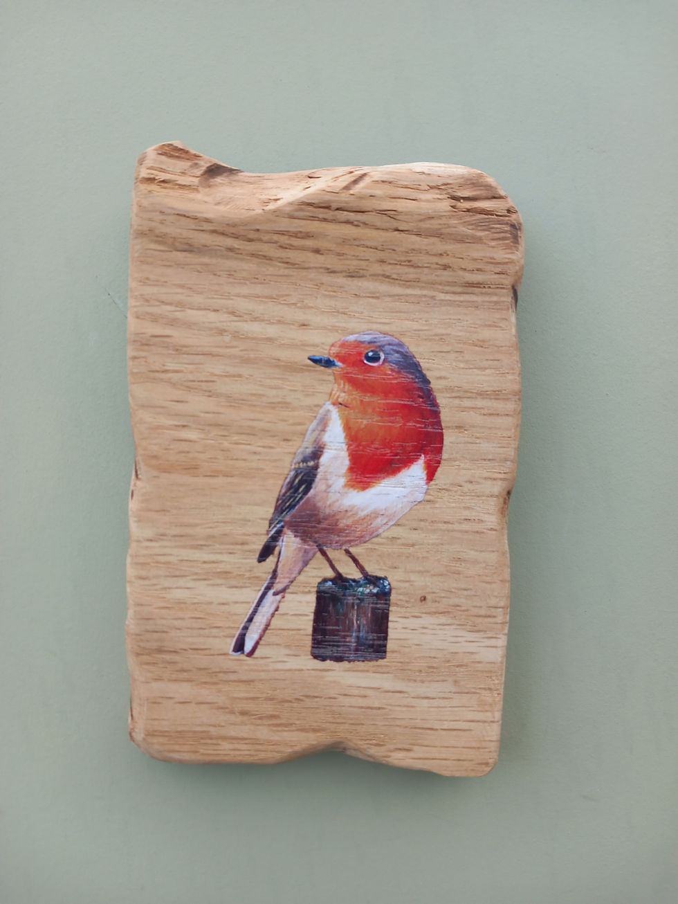robin print on wood