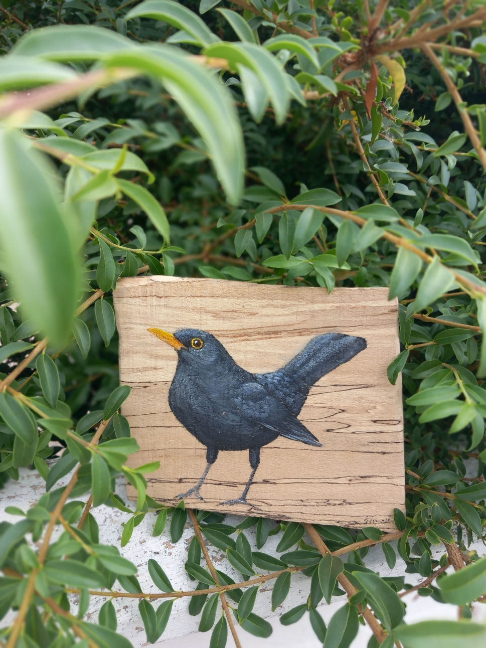 blackbird painting on spalted wood