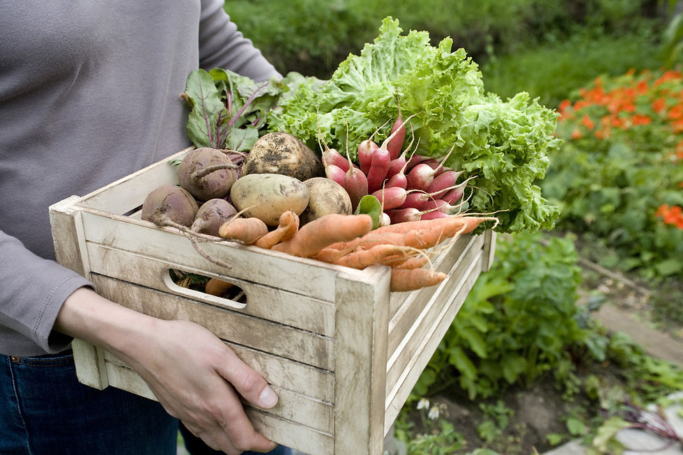 Crate of Fresh Vegetables